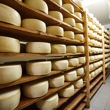 Milk at the cheese factory: Preservation, processing, storage, accurate temperature assuranse: Low microbial load, better quality